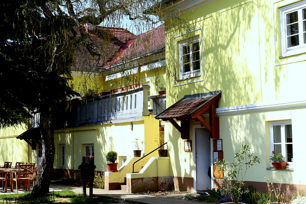 kozepkori vartura bormuzeum tolcsva