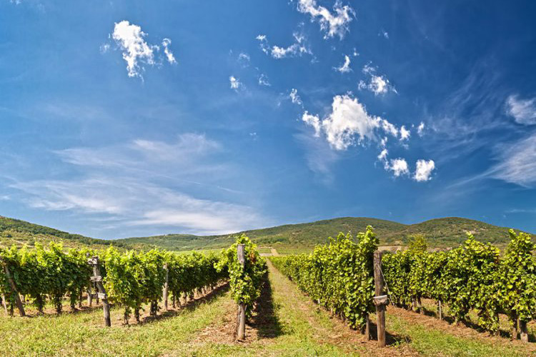 szegitol tokajig 09